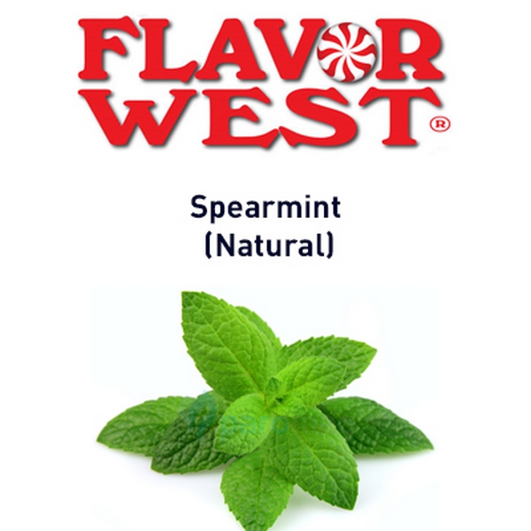 картинка Spearmint (Natural) от магазина Paromag 