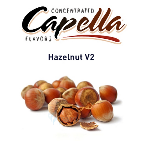 картинка Hazelnut V2 от магазина Paromag 