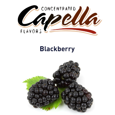 картинка Blackberry от магазина Paromag 