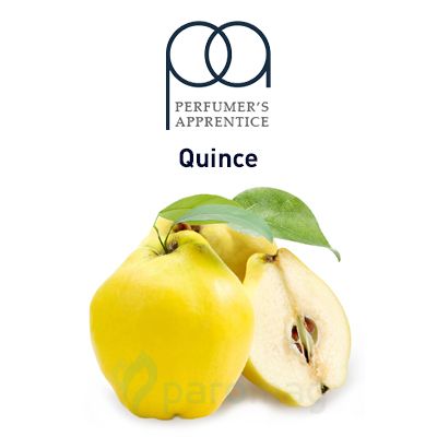 картинка Quince от магазина Paromag 