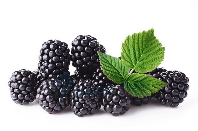 картинка Blackberry от магазина Paromag 