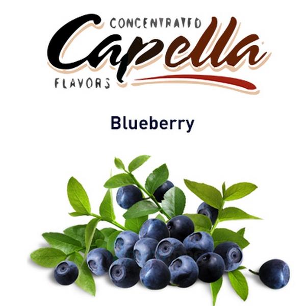 картинка Blueberry от магазина Paromag 