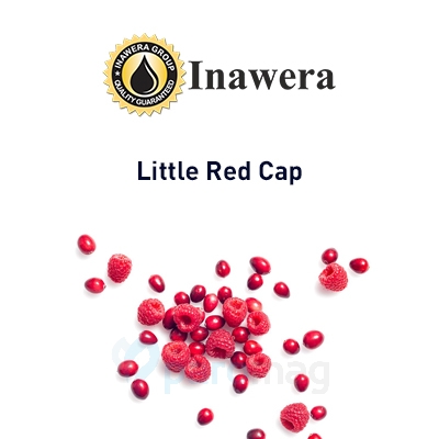 картинка Little Red Cap от магазина Paromag 