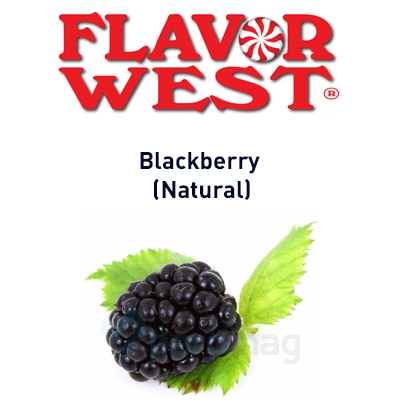 картинка Blackberry (Natural) от магазина Paromag 