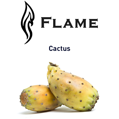 картинка Cactus от магазина Paromag 