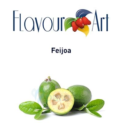 картинка Feijoa от магазина Paromag 