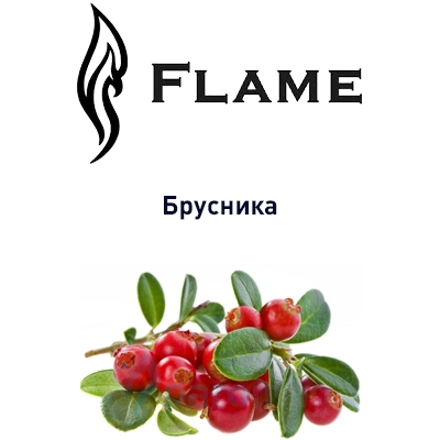 картинка Брусника от магазина Paromag 
