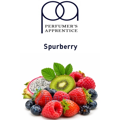 картинка Spurberry от магазина Paromag 