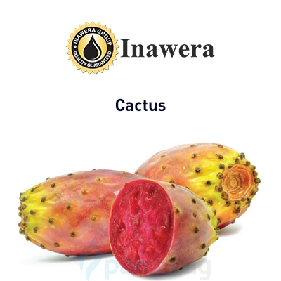 картинка Cactus от магазина Paromag 