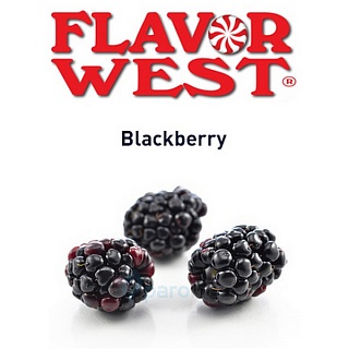 картинка Blackberry от магазина Paromag 