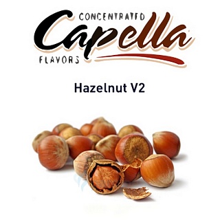 картинка Hazelnut V2 от магазина Paromag 