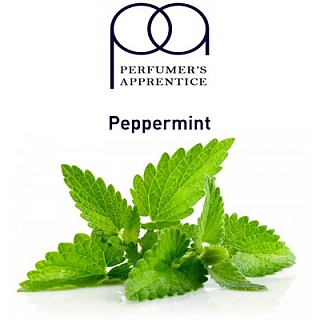 картинка Peppermint от магазина Paromag 