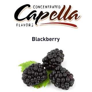 картинка Blackberry от магазина Paromag 