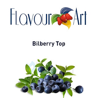 картинка Bilberry Top от магазина Paromag 