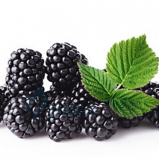 картинка Blackberry от магазина Paromag 