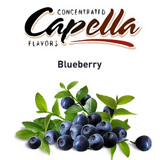 картинка Blueberry от магазина Paromag 