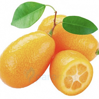 картинка Kumquat от магазина Paromag 