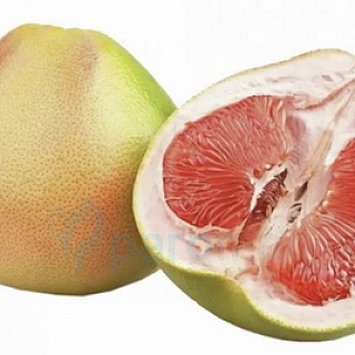 картинка Pomelo от магазина Paromag 