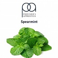 картинка Spearmint от магазина Paromag 