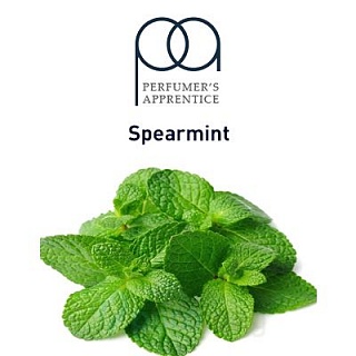 картинка Spearmint от магазина Paromag 