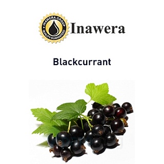 картинка Blackcurrant от магазина Paromag 