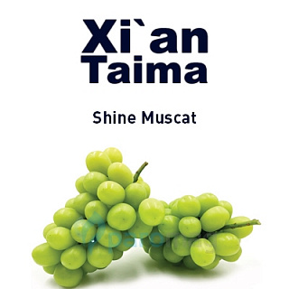 картинка Shine Muscat от магазина Paromag 