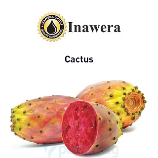 картинка Cactus от магазина Paromag 