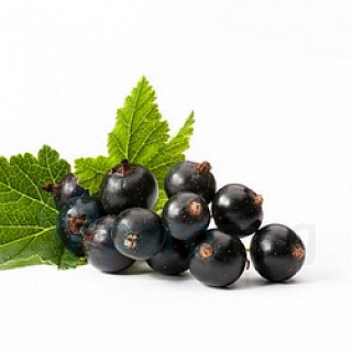 картинка Blackcurrant от магазина Paromag 