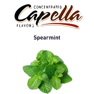 картинка Spearmint от магазина Paromag 